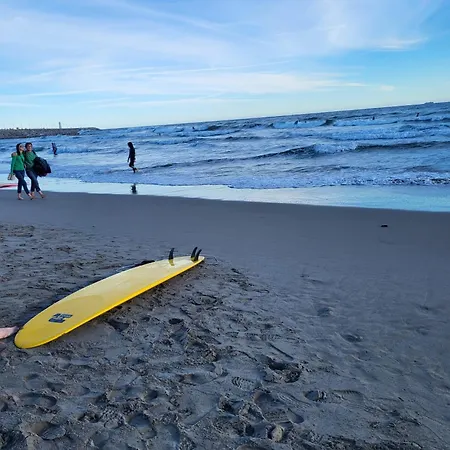 公寓 The Shell - New Interior Look But Same Old Charme 200mt From The Sea With Garden And Parking Nearby